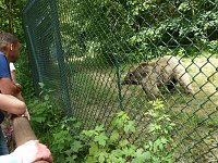 Spende für den Bärenpark Bild: Spende für den Bärenpark