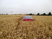 Kein Bett im Kornfeld Bild: Kein Bett im Kornfeld