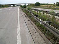 Kein Bett im Kornfeld Bild: Kein Bett im Kornfeld