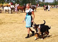 Großes Ponyfest Großenehrich Bild: Großes Ponyfest Großenehrich