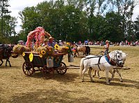Großes Ponyfest Großenehrich Bild: Großes Ponyfest Großenehrich