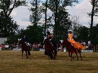 Großes Ponyfest Großenehrich Bild: Großes Ponyfest Großenehrich