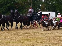 Großes Ponyfest Großenehrich Bild: Großes Ponyfest Großenehrich