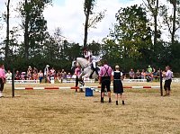 Großes Ponyfest Großenehrich Bild: Großes Ponyfest Großenehrich