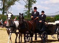 Großes Ponyfest Großenehrich Bild: Großes Ponyfest Großenehrich