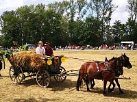Großes Ponyfest Großenehrich Bild: Großes Ponyfest Großenehrich