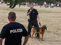 Großes Ponyfest Großenehrich Bild: Großes Ponyfest Großenehrich
