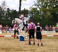 Großes Ponyfest Großenehrich Bild: Großes Ponyfest Großenehrich