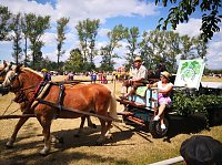 Großes Ponyfest Großenehrich Bild: Großes Ponyfest Großenehrich