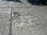Nichts für Rollstuhlfahrer Bild: Nichts für Rollstuhlfahrer