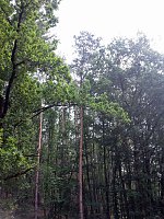 In der Windleite unterwegs Bild: In der Windleite unterwegs
