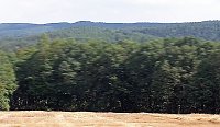 Gruß aus Sondershausen? Bild: Gruß aus Sondershausen?