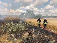 Bild: Fl&auml;chenbrand