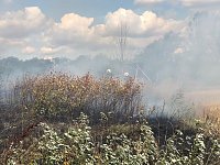 Bild: Fl&auml;chenbrand