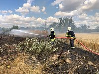 Bild: Fl&auml;chenbrand