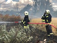 Bild: Fl&auml;chenbrand