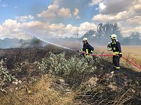 Bild: Fl&auml;chenbrand