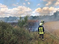 Bild: Fl&auml;chenbrand