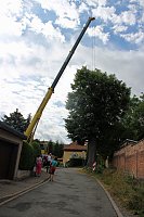 Baumpflege mit Kran Bild: Baumpflege mit Kran