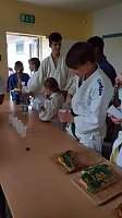 Bild: judoka