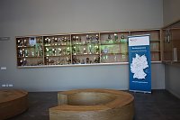 Kyffhäuser-Gymnasium offiziell eingeweiht Bild: Kyffhäuser-Gymnasium offiziell eingeweiht
