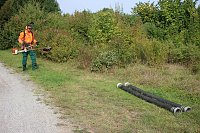 Schnelle und unkomplizierte Hilfe für den Parkteich Bild: Schnelle und unkomplizierte Hilfe für den Parkteich