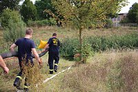 Schnelle und unkomplizierte Hilfe für den Parkteich Bild: Schnelle und unkomplizierte Hilfe für den Parkteich
