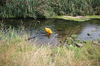 Schnelle und unkomplizierte Hilfe für den Parkteich Bild: Schnelle und unkomplizierte Hilfe für den Parkteich