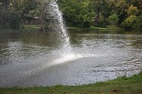 Schnelle und unkomplizierte Hilfe für den Parkteich Bild: Schnelle und unkomplizierte Hilfe für den Parkteich