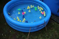 20 Jahre Abenteuerspielplatz Bild: 20 Jahre Abenteuerspielplatz