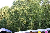 20 Jahre Abenteuerspielplatz Bild: 20 Jahre Abenteuerspielplatz
