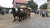 Bild: Impressionen vom 3. Klosterfest in M&ouml;nchpfiffel