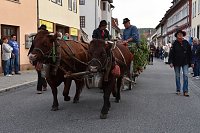 Bild: Bauernheer eroberte wieder Bad Frankenhausen