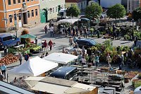 Bild: Pflanzen und Menschen in H&uuml;lle und F&uuml;lle