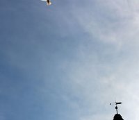 Zusammen leben, zusammen wachsen Bild: Zusammen leben, zusammen wachsen