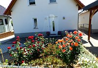 Bild: Gro&szlig;e Beteiligung am  25. "Frankenh&auml;user Blumensommer" 2019