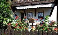 Bild: Gro&szlig;e Beteiligung am  25. "Frankenh&auml;user Blumensommer" 2019