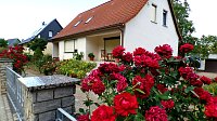 Bild: Gro&szlig;e Beteiligung am  25. "Frankenh&auml;user Blumensommer" 2019