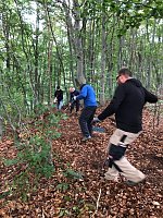 Bild: Neue Mountainbike-Strecke entsteht im Possenwald