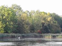 Bild: Letztes Abbaden am Bebraer Teich