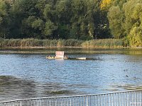 Bild: Letztes Abbaden am Bebraer Teich