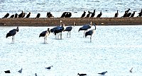 Abendstimmung am Stausee Kelbra Bild: Abendstimmung am Stausee Kelbra