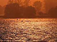 Abendstimmung am Stausee Kelbra Bild: Abendstimmung am Stausee Kelbra