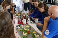 Bild: Autos an THC-M&auml;dels &uuml;bergeben