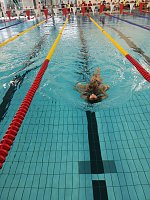 Bild: DRK-Rettungsschwimmer erfolgreich auf Bundesebene