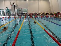 Bild: DRK-Rettungsschwimmer erfolgreich auf Bundesebene