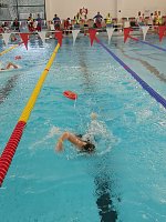 Bild: DRK-Rettungsschwimmer erfolgreich auf Bundesebene