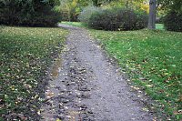 Bild: 26. Stadtparklauf Sondershausen und...