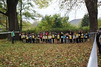 Bild: 26. Stadtparklauf Sondershausen und...
