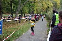 Bild: 26. Stadtparklauf Sondershausen und...